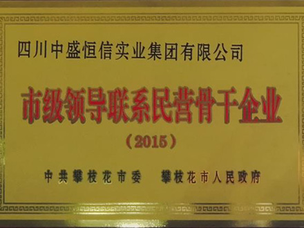 2015-市級(jí)領(lǐng)導(dǎo)聯(lián)系民營(yíng)骨干企業(yè)