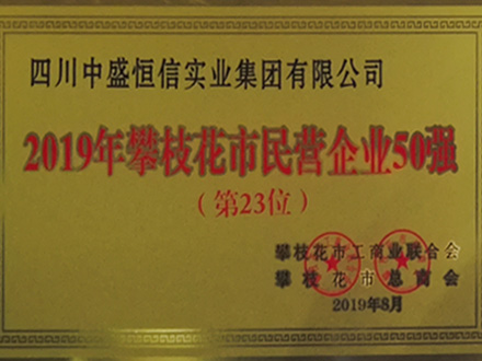 2019-攀枝花市民營(yíng)企業(yè)50強(qiáng)